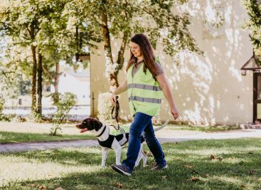 Hundeführerschein Kurse